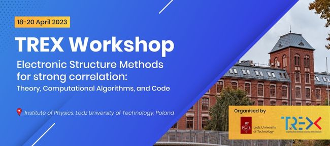 TREX workshop on electronic structure methods for strong correlation: theory, computational algorithms, and codes